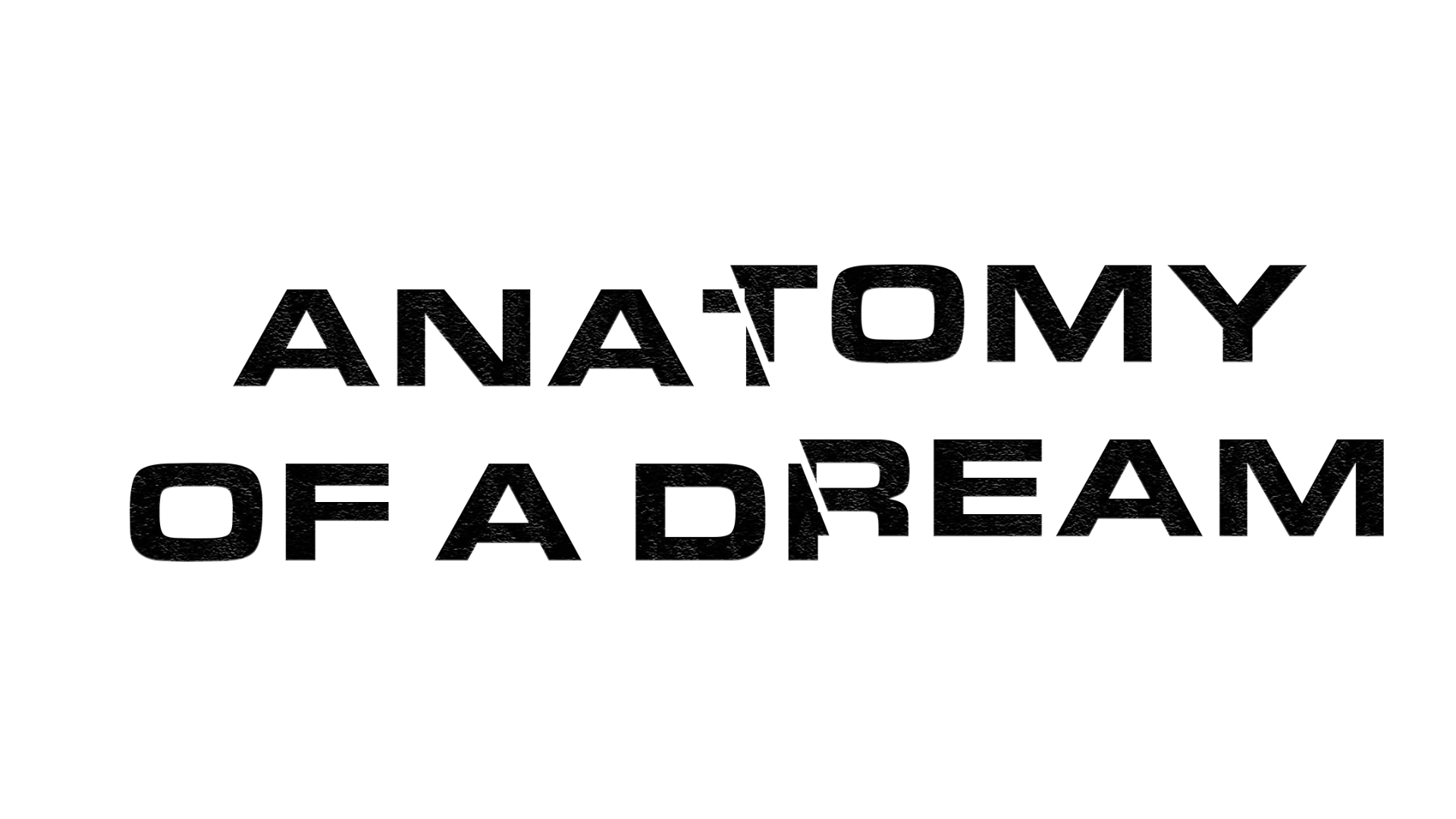 AOD Wordmark - Black